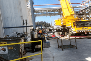Homepage_PlantServices